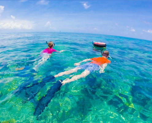 snorkeling-florida